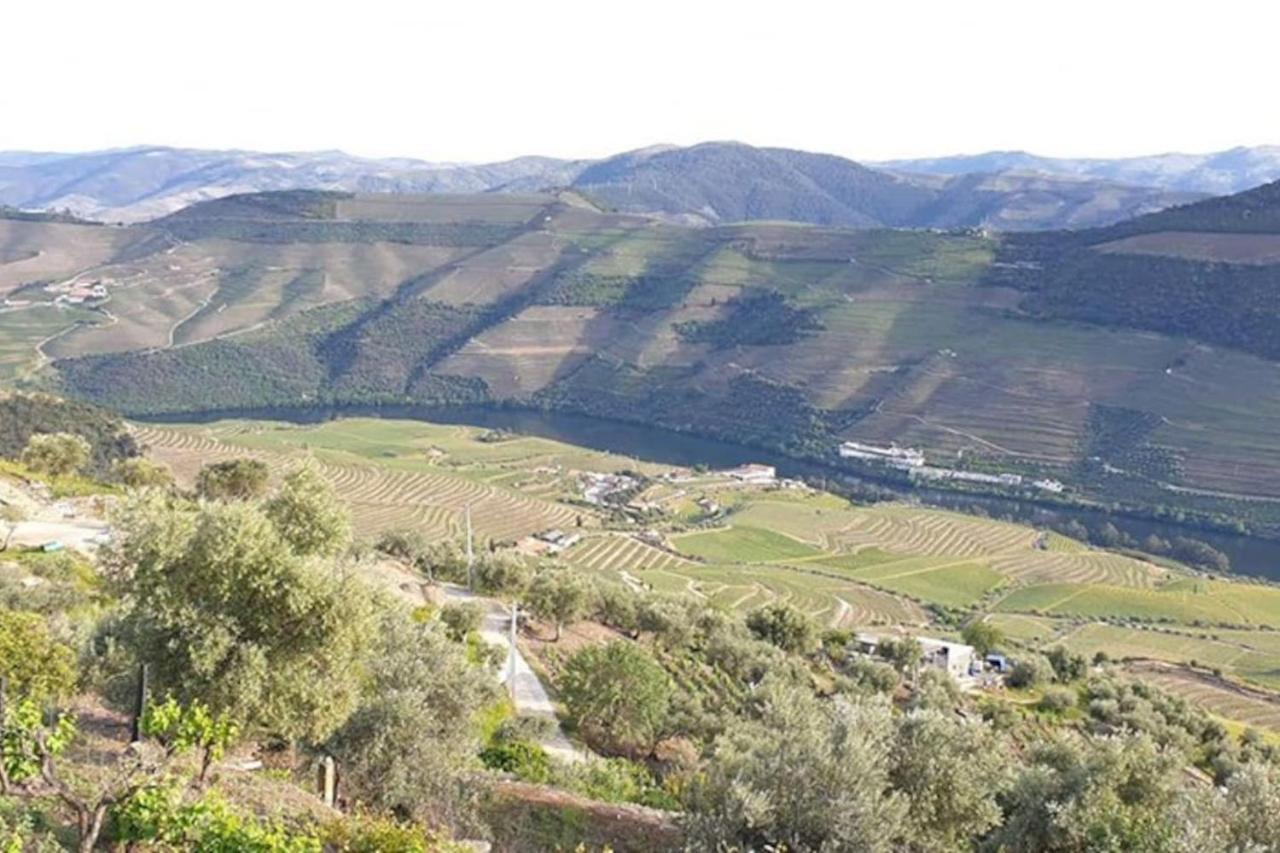 Casa Rodrigues Villa Pinhão Екстериор снимка